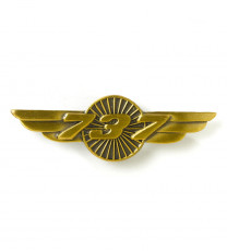 Boeing 737 Wings Pin