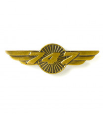 Boeing 747 Wings Pin